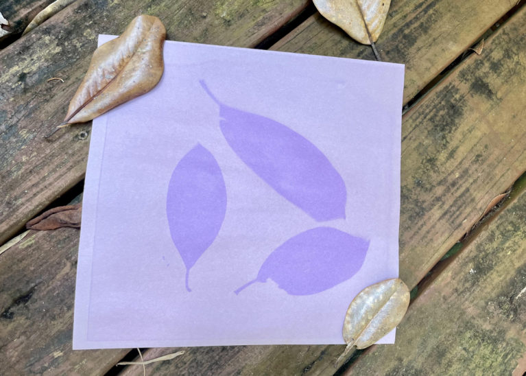 A sunprint of leaves on purple construction paper.