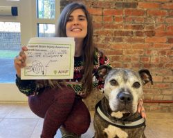 A young woman with long, brown hair poses with her brown and white therapy dog. She holds a piece of paper that reads: I support Brain Injury Awareness Month because...well...I have one and I support anyone with one and caregivers. 